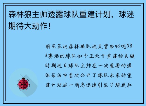 森林狼主帅透露球队重建计划，球迷期待大动作！
